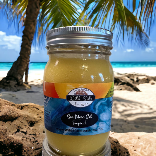 Tropical Sea Moss Gel